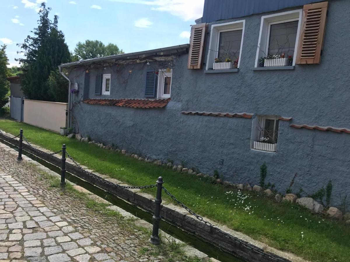 Villa Windschief Thale Exteriör bild