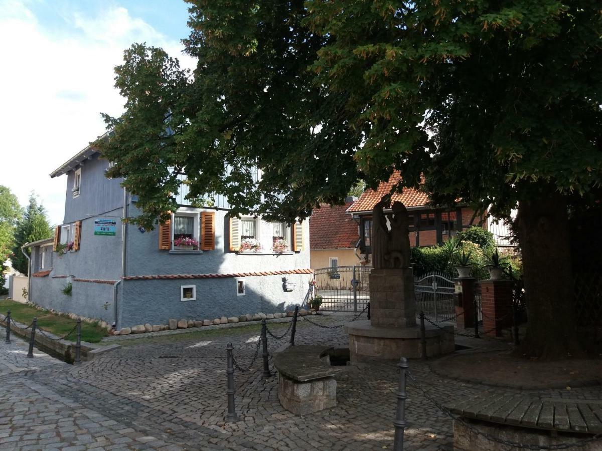 Villa Windschief Thale Exteriör bild